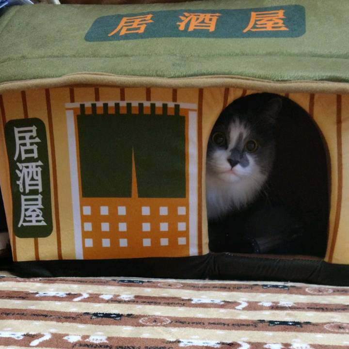 A42efd75 5397 43e2 bd2e 934f79bde349 1611139931459