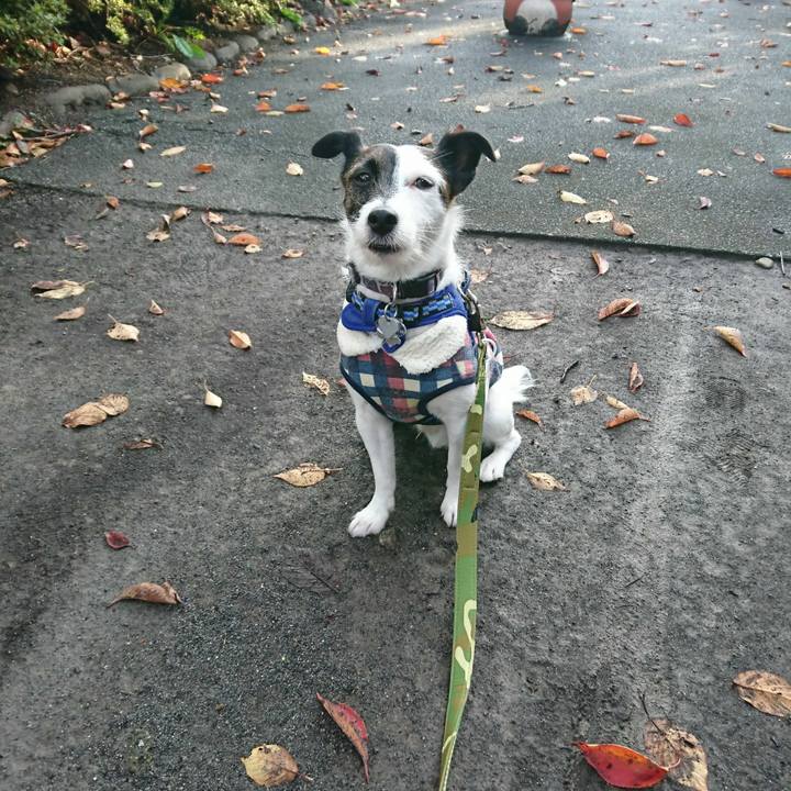 A42f01c4 be33 4289 8bc7 1debc680104d 1509662738598