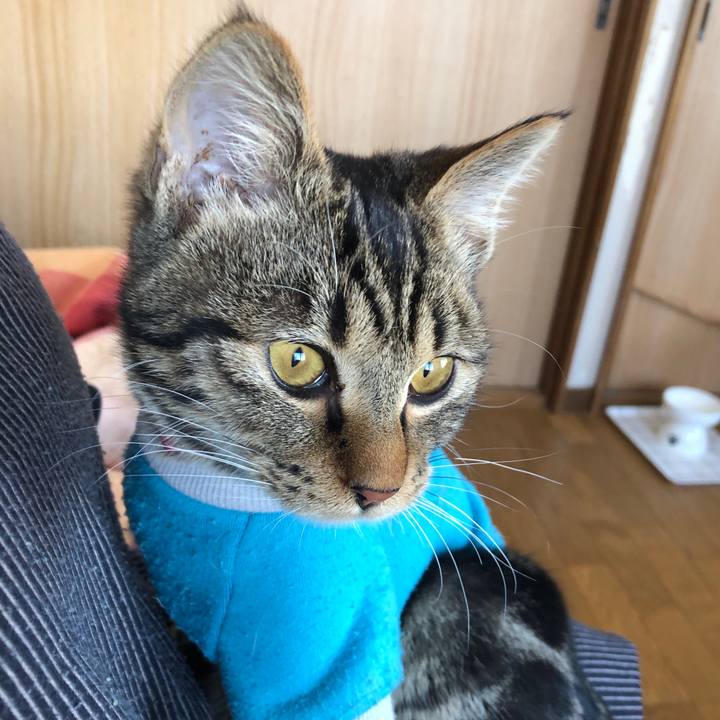 A42f2742 a777 4ec6 9b23 a40bbb2ec2ea 1736481306855