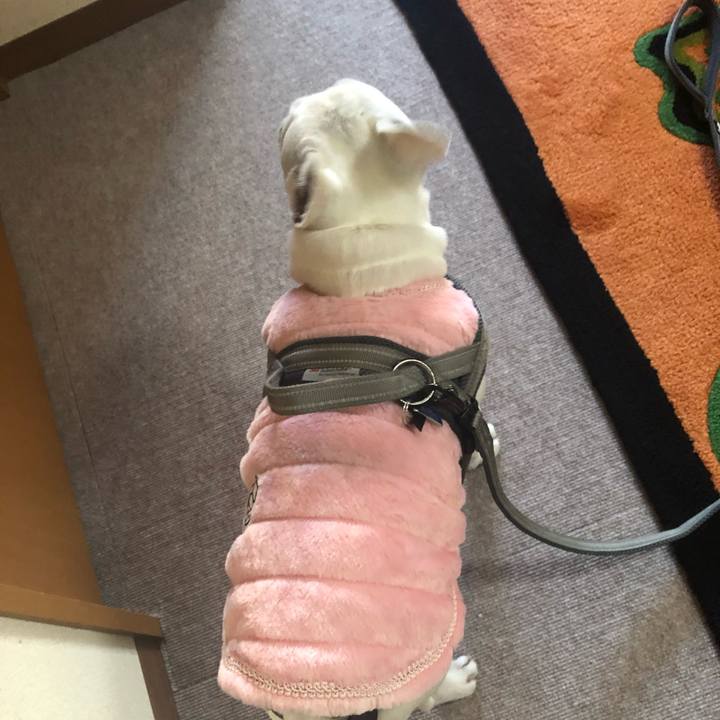 A42f5221 ce67 4bc5 b1c3 6830c396b31b 1645351696057