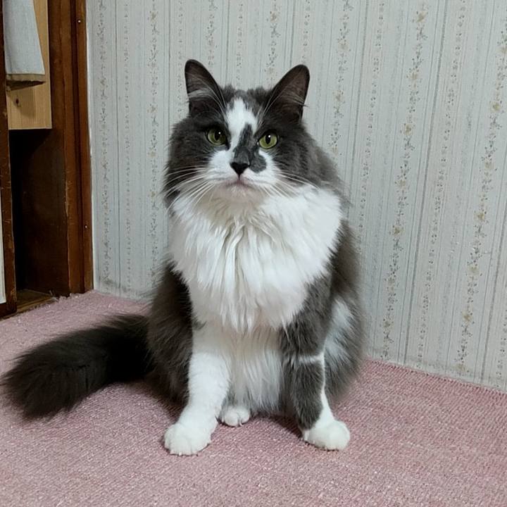 A42f5f68 503d 4d53 b140 fc4c456f86d8 1654692123241