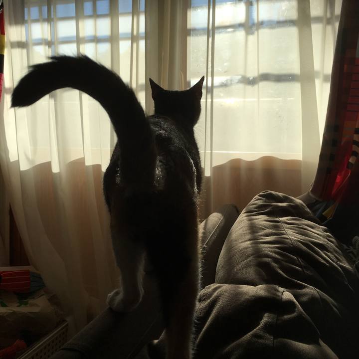 A42f6db0 97ff 4a21 a00d 4af58a0f6aea 1513902561870