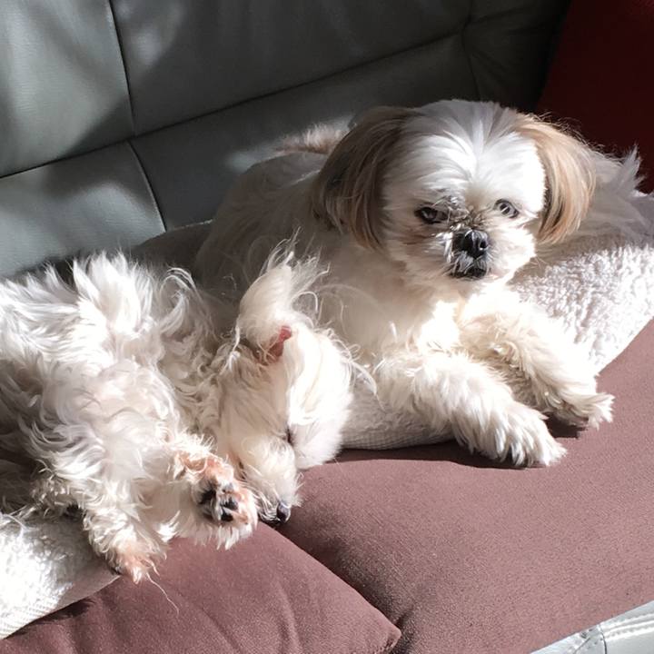 A42fa4a2 97d7 4e3d 8db5 8c814a112301 1548482809309