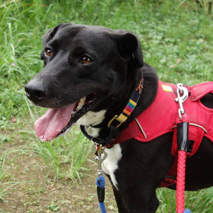 A42fdfe8 4f91 4d6f b693 33e0048c2d99 1598139186585