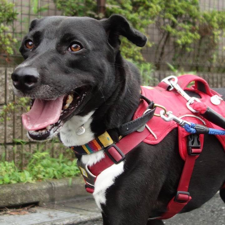 A42fe542 00c0 49f4 a210 35696511ac51 1596067819149