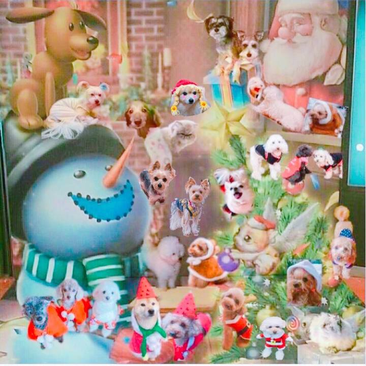 A42fff68 c180 494b 8064 f2666e4b897d 1512797911657