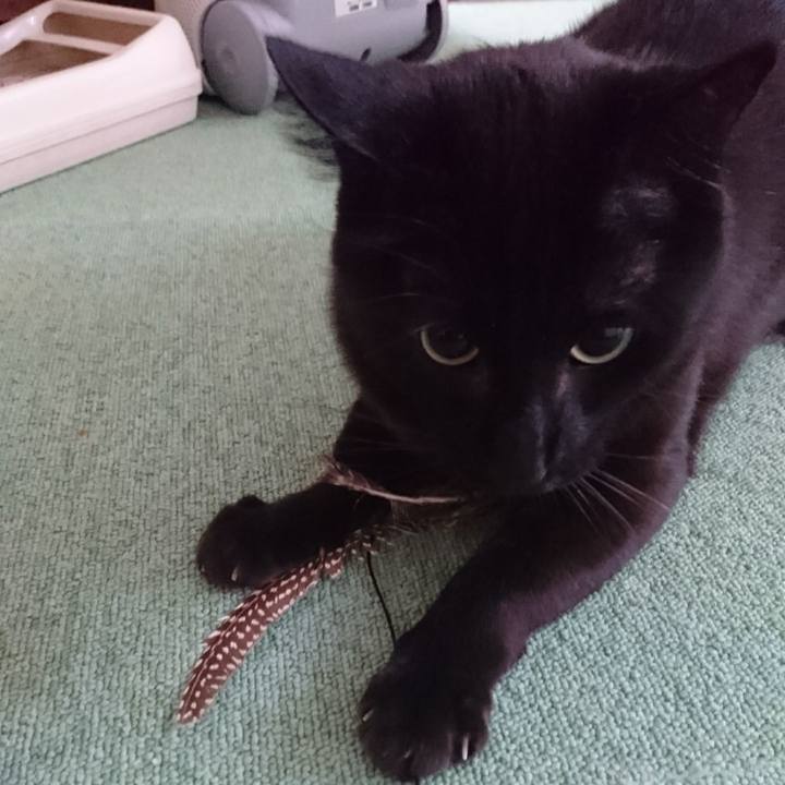 A4300459 0a56 45ae b26c 779c7036e0f4 1577581412417