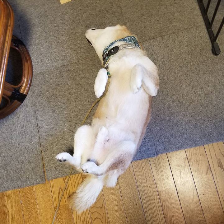 A4301ab2 215d 47bf 8542 21df4a2887ec 1707092637286