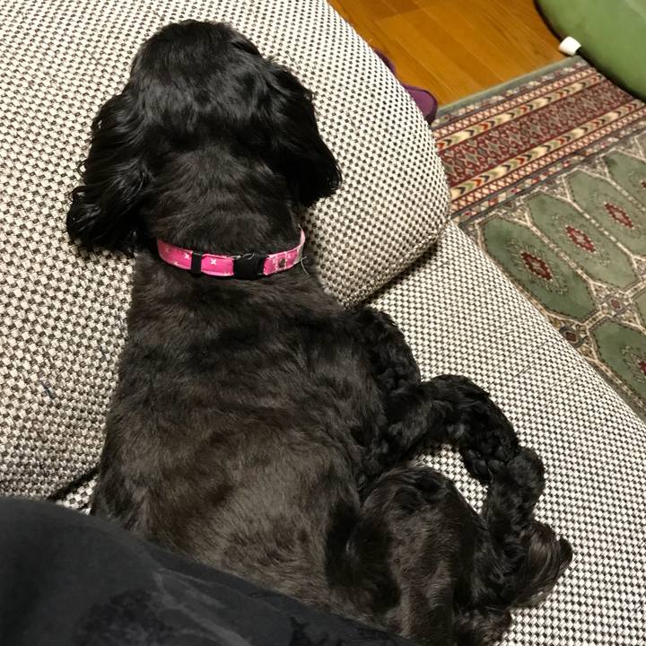 A4302126 d73b 4f1c b027 43db20fcf7b3 1522677377423