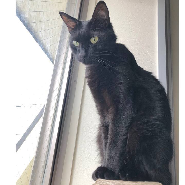 A43060f4 d9ff 40d4 8cb7 4ff30dab3be0 1561946576189