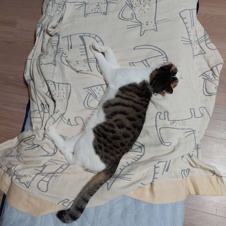 A43068df 155f 449c 8290 3ebdaa68d1db 1661518676660