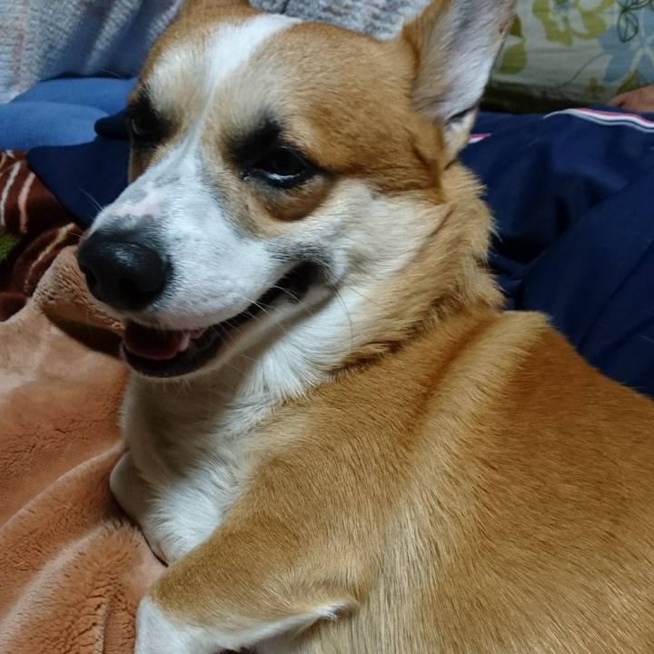 A43078e6 0b66 4582 ab04 50a6c9847053 1605076169266