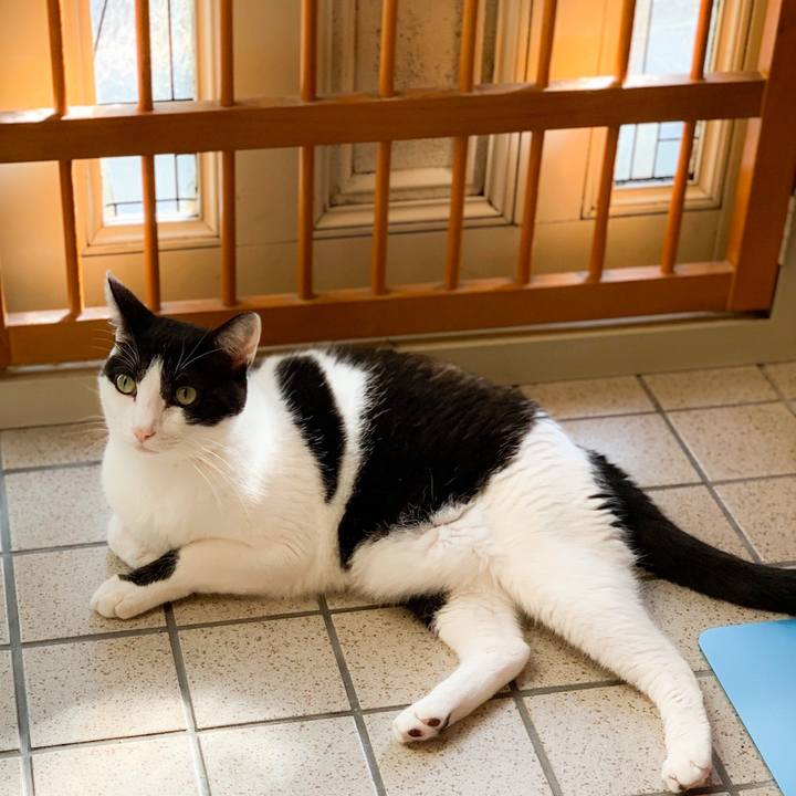 A4307976 2d3f 499f ab60 9ddb4f6382f7 1572485481315