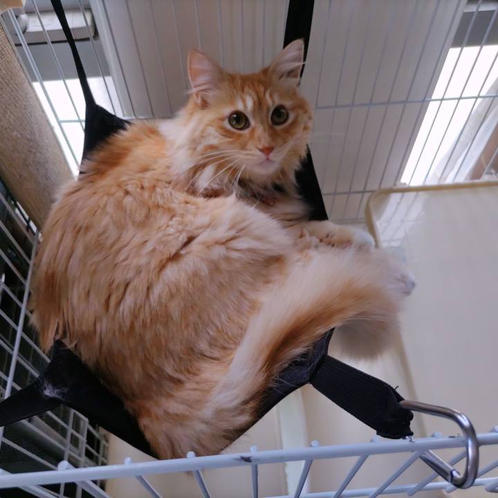 A430b00d 281c 4663 8b5e a87922240895 1657412876674