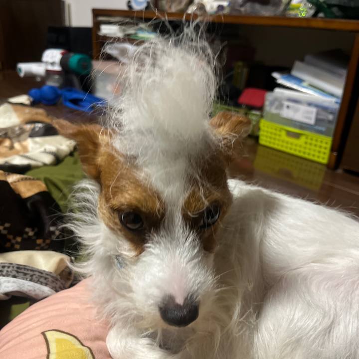 A430be47 0a4a 4028 8e31 71c902ec1fb2 1763731392180