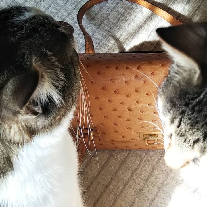 A430d776 098d 4f98 993c feb8394f3a13 1619529406698