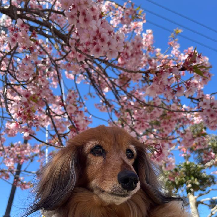 A4311d6d 071c 4072 91cd ba54738d6d85 1773464761354