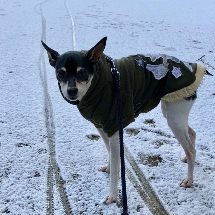 A43132fa 94f2 4c73 8e92 54be3ee69572 1518398651187