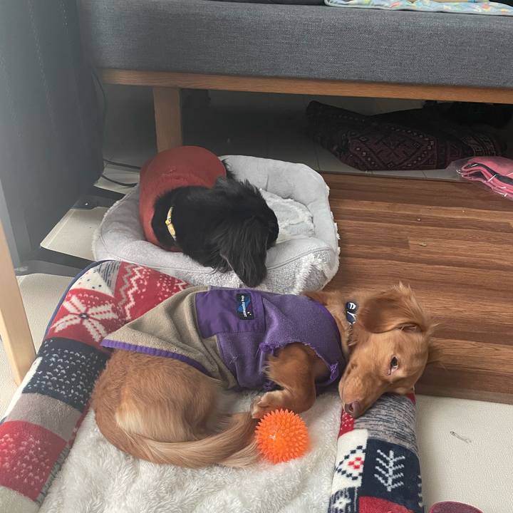 A431995c d2ff 4365 a7ad cdcfa9e360e5 1735917373825