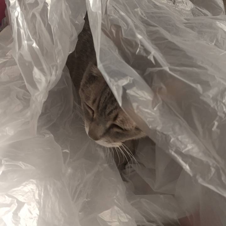 A431c35e 9e5f 492b bcfa 709c03af2673 1640234239991