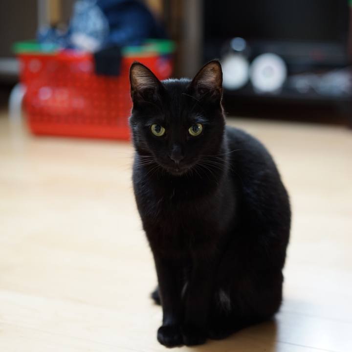 A431dbbe 2efa 4248 8e4c 3bfbe5311743 1552262159613