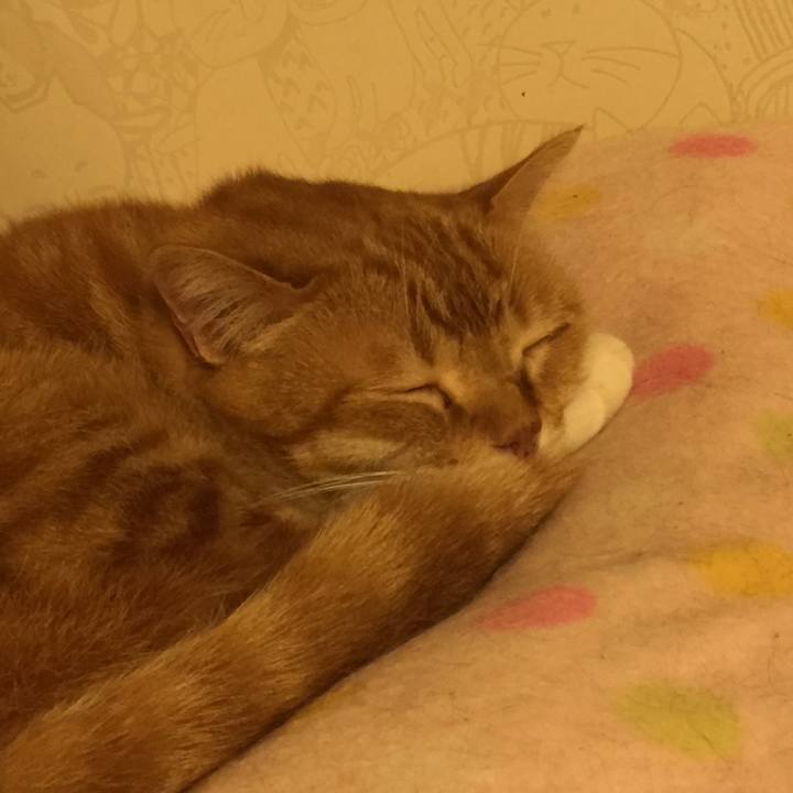 A431dd4c 8015 4f16 953f e8a54a86cc5e 1555860114589