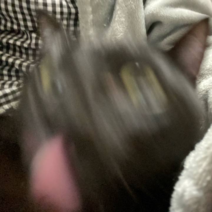 A43203ea 7596 42f9 a30f c3b1320e391a 1636977349793