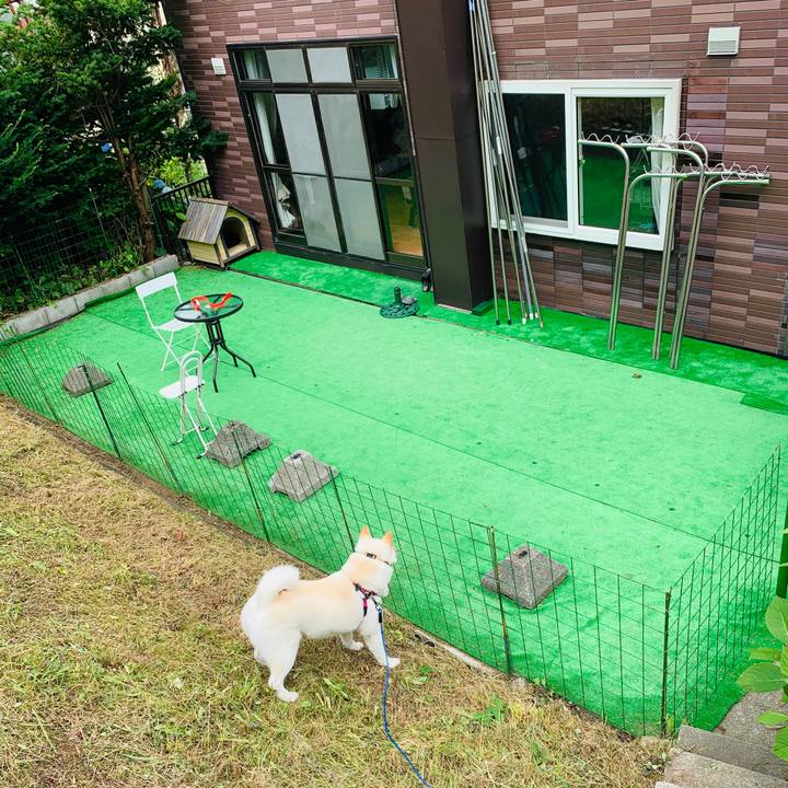 A4320ea0 f9a0 4c1f 8a48 14ab40044067 1595557359794