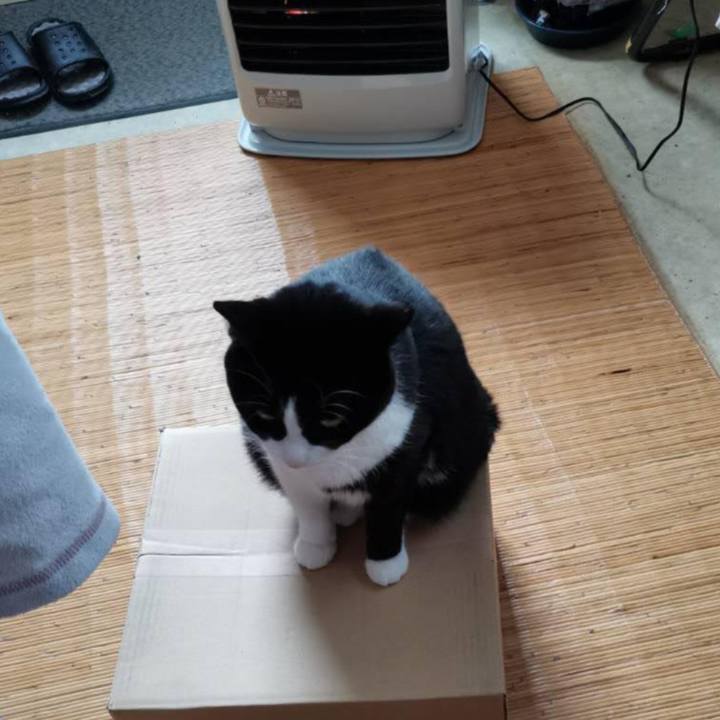 A4327049 7a6f 4345 bdc4 bc849e4e4f2c 1706320120431