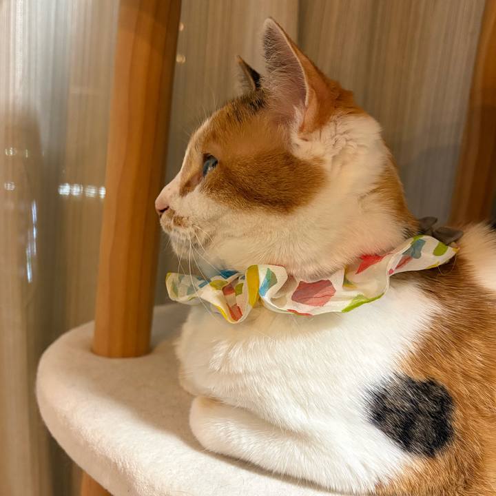 A432b783 69dd 43ce 8cc1 5d839e711e3c 1773572199880