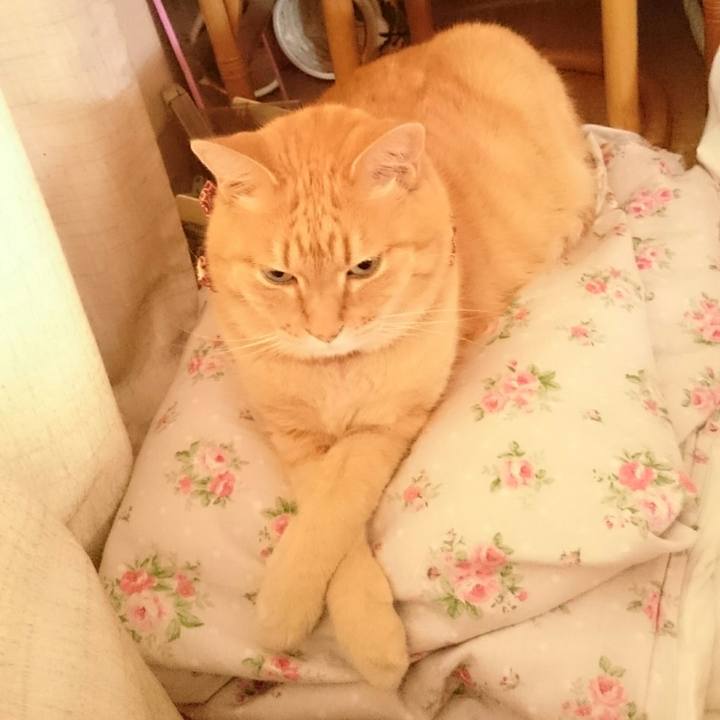 A432ff3c 00f9 4310 9c7e f76aaa43fd75 1528940413331