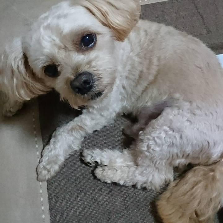 A433109a 290d 423d aa03 e3fe59ec1fcc 1596338964607