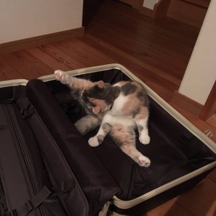 A43343cd 5e81 45c0 8a6b a39ea97030dc 1537783604387