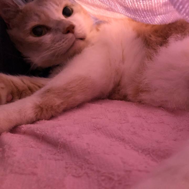 A43362a9 0ef8 4db2 bfbb d66d7f3f586a 1568623444733