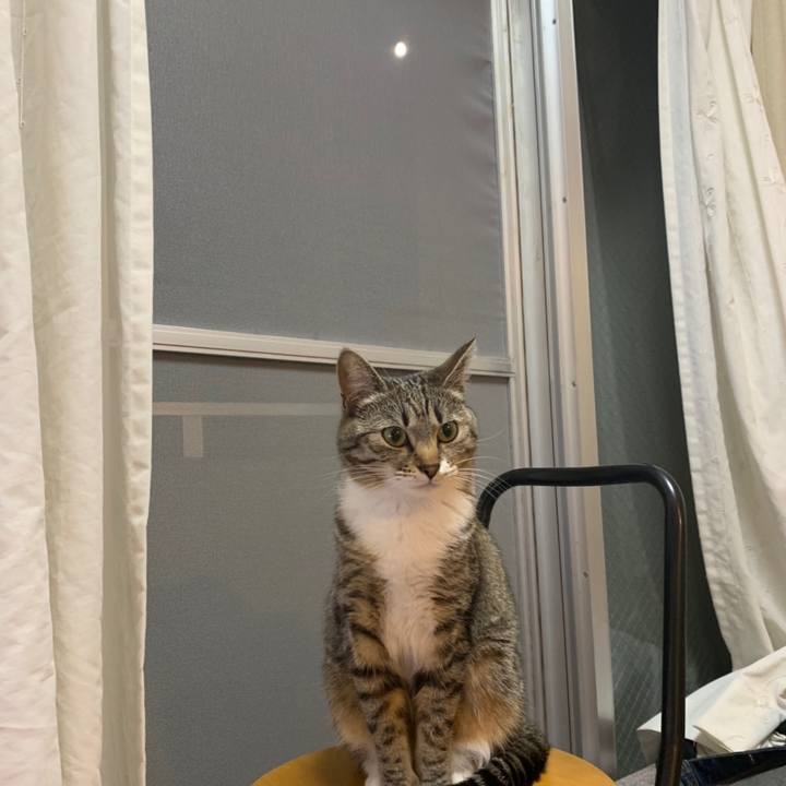 A433c283 4251 4ecb 9975 6f1df0978962 1558272505849