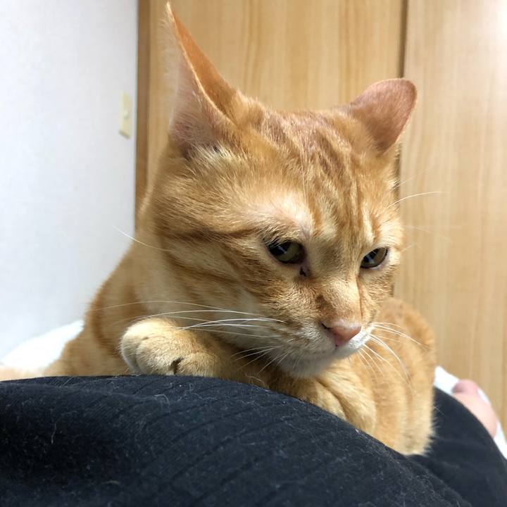 A433d095 9748 40ca ac81 168a93b88de5 1584016586033