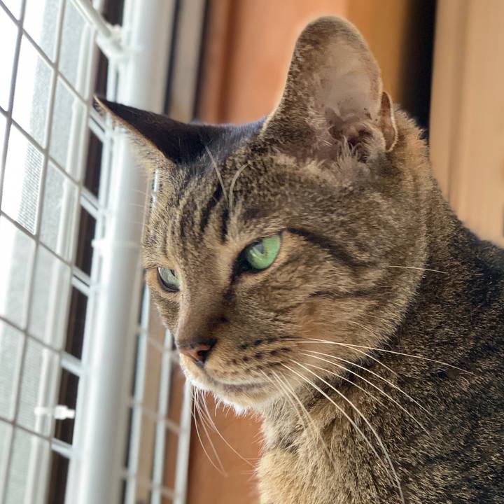 A433d7b3 6336 4826 ac0c 319f4612c77e 1601170204484