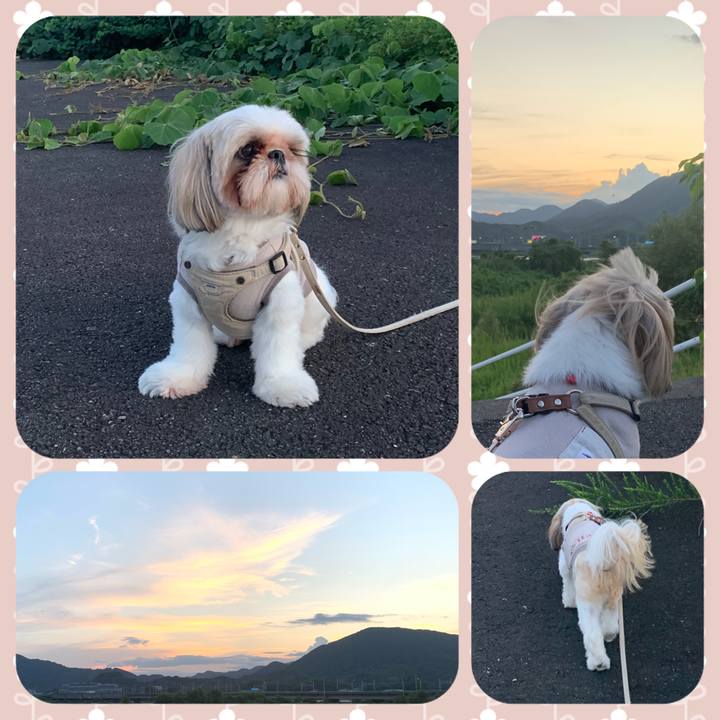 A434145a 0e52 4a14 b5f2 90803b5beb1a 1662814301595