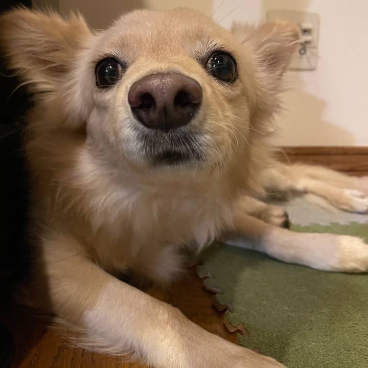 A4342ebd 1426 487b ba5b a4b94a5713fd 1756571189009