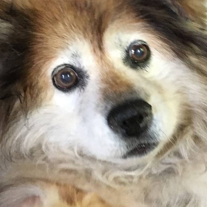 A43447eb 0902 44ae babc 406d03291696 1597656972220