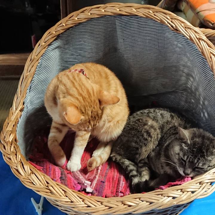 A43457ff 9ce5 41a5 8a03 ee55385e6ab3 1561874544226