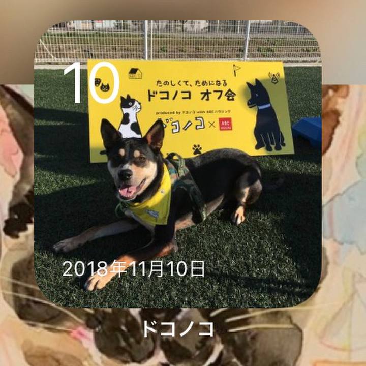 A43459a9 1506 451a 8226 0e76c35056d9 1636505347984