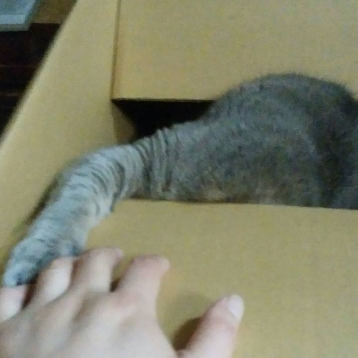 A4345a03 a7b6 449b 907e 2765e1ad9768 1553430111226