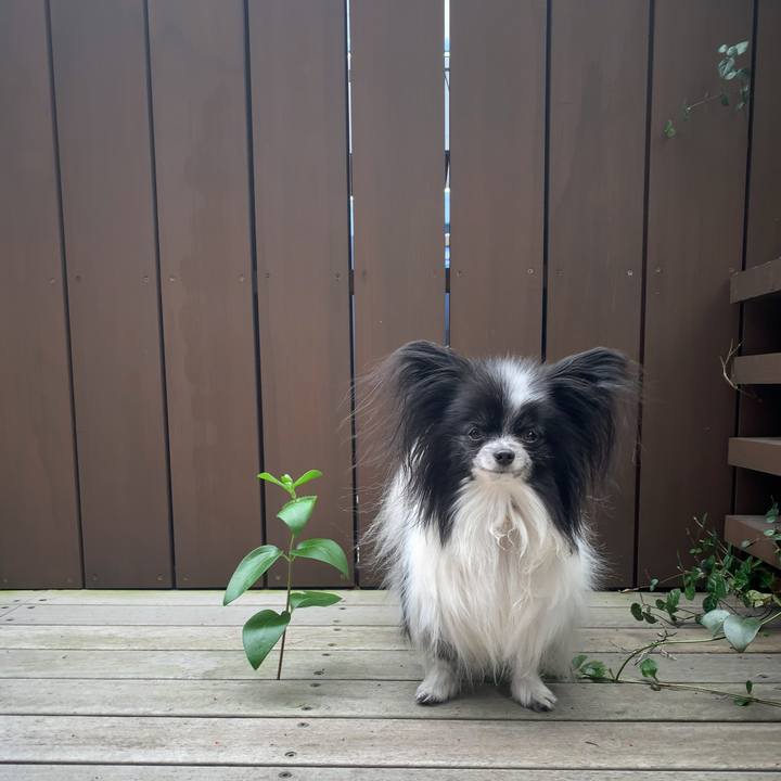 A4346f34 7b19 42ba b3ef 39d96c5601ae 1585608141789