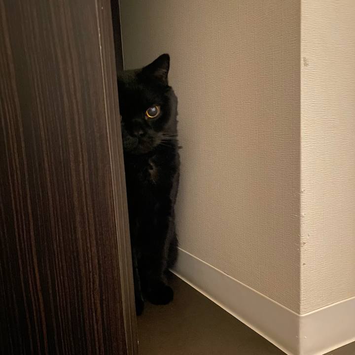 A4347f50 7b67 49e1 86df bf22b55364e4 1750944670978