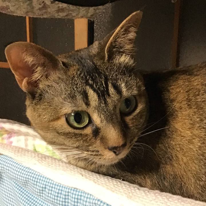 A4348a58 af99 46ea 88b9 83a5f77f5758 1656156970466