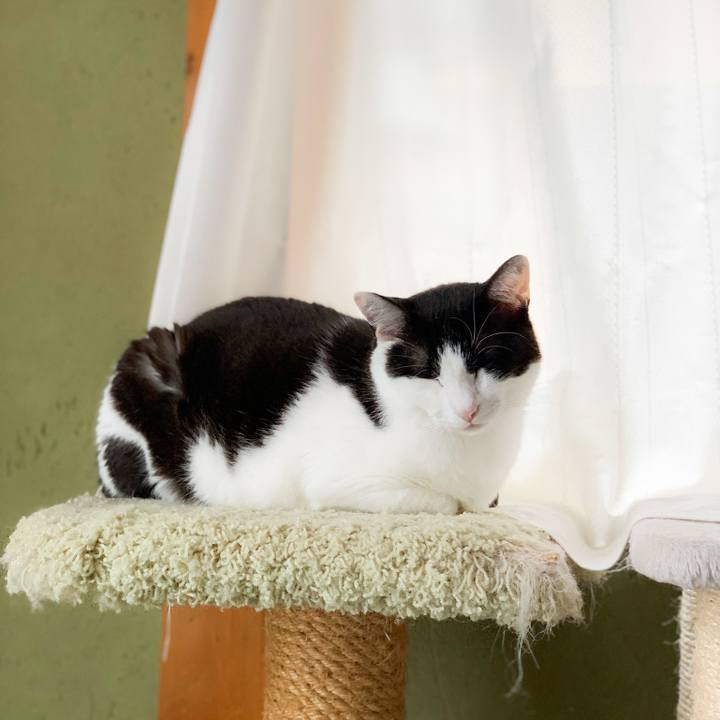 A434a4ae 54d9 4cf1 a972 d4924a63614c 1565227230936