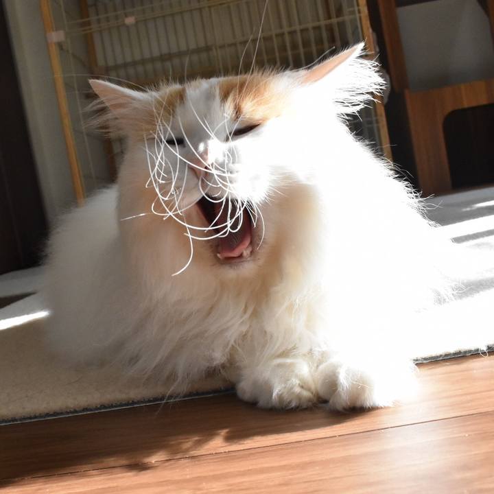 A434b6f1 edbc 4936 a5ee f27cfe8821fe 1765589269147