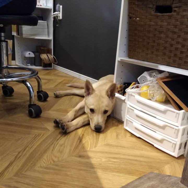 A434c916 4f01 46a9 a5b2 14fefa2c61d3 1577587086890