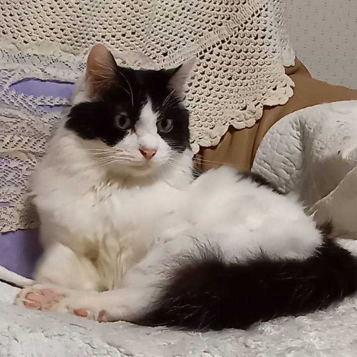 A4358682 cab2 406f 9eb2 a208ae5e9c4f 1636837616216